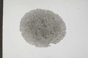 Plane Polarized, S17260