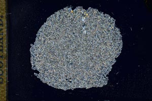 Cross Polarized, S17264