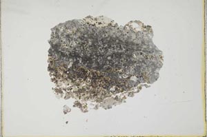 Plane Polarized, S17282