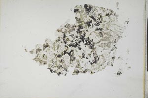 Plane Polarized, S17284