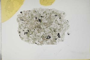 Plane Polarized, S17285