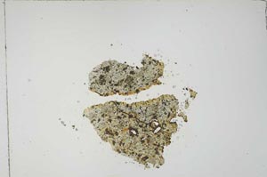 Plane Polarized, S17289