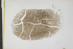 Plane Polarized, S17294