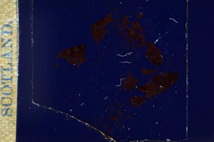 Cross Polarized, S17295