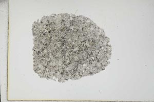 Plane Polarized, S17305