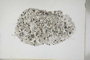 Plane Polarized, S17318