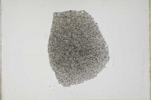 Plane Polarized, S17325