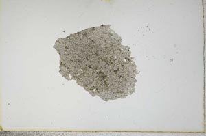 Plane Polarized, S17330