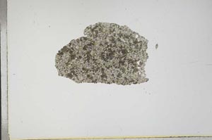 Plane Polarized, S17333