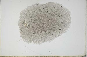 Plane Polarized, S17339