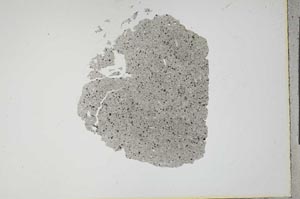 Plane Polarized, S17349
