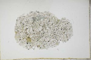 Plane Polarized, S17353
