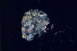 Cross Polarized, S17355