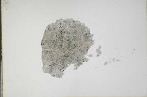 Plane Polarized, S17355