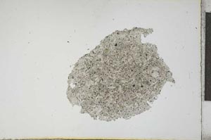 Plane Polarized, S17357