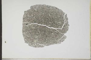 Plane Polarized, S17361