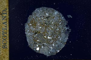 Cross Polarized, S17370
