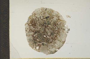 Plane Polarized, S17370