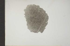 Plane Polarized, S17382