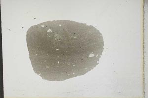 Plane Polarized, S17392