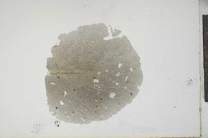 Plane Polarized, S17393