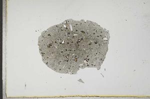 Plane Polarized, S17394