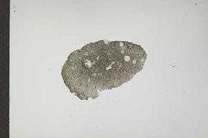 Plane Polarized, S17397
