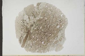 Plane Polarized, S17399