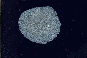 Cross Polarized, S17433