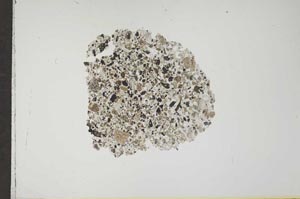 Plane Polarized, S17452
