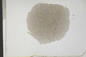 Plane Polarized, S17458