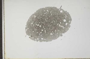 Plane Polarized, S17470