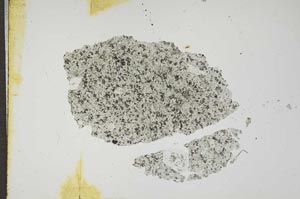 Plane Polarized, S17474