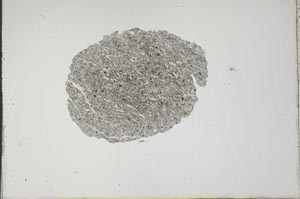 Plane Polarized, S17482