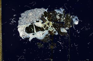 Cross Polarized, S17483
