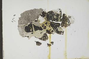 Plane Polarized, S17483