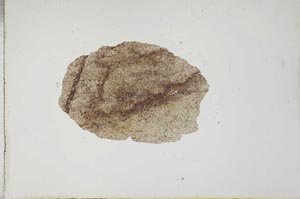 Plane Polarized, S17485