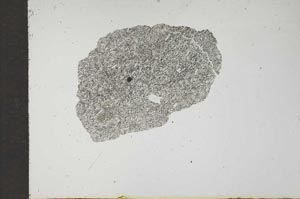 Plane Polarized, S17486