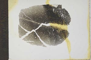 Plane Polarized, S17498