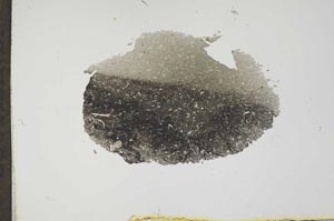Plane Polarized, S17499