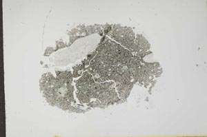 Plane Polarized, S17502