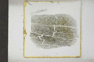 Plane Polarized, S17507