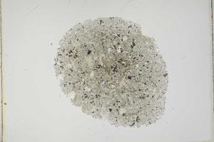 Plane Polarized, S17513