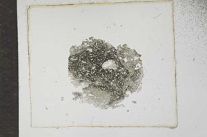 Plane Polarized, S17514/A