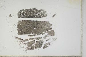 Plane Polarized, S17517