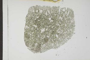 Plane Polarized, S17519
