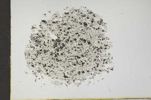 Plane Polarized, S17520