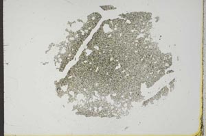 Plane Polarized, S17522