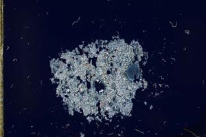 Cross Polarized, S17526