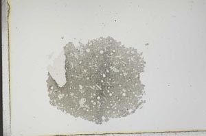 Plane Polarized, S17529